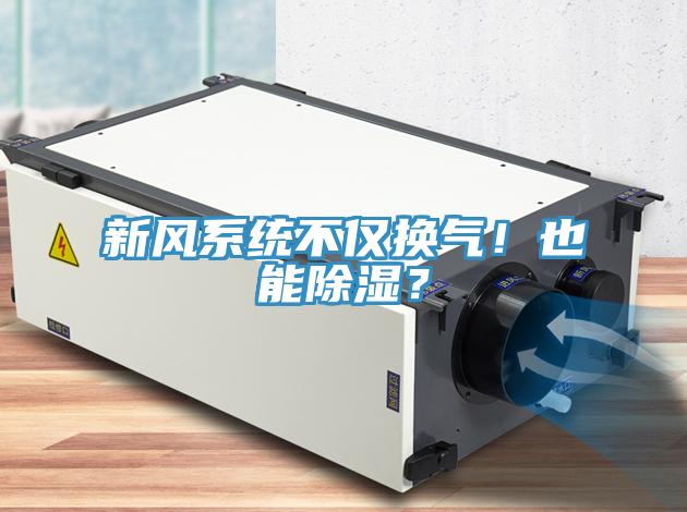新風(fēng)系統不僅換氣！也能除濕？