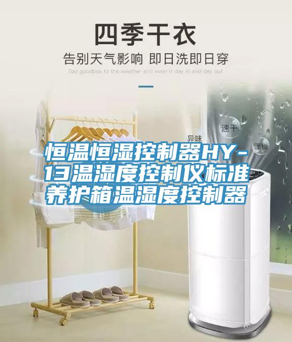 恒溫恒濕控制器HY-13溫濕度控制儀標準養護箱溫濕度控制器