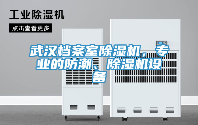 武漢檔案室除濕機，專(zhuān)業(yè)的防潮、除濕機設備