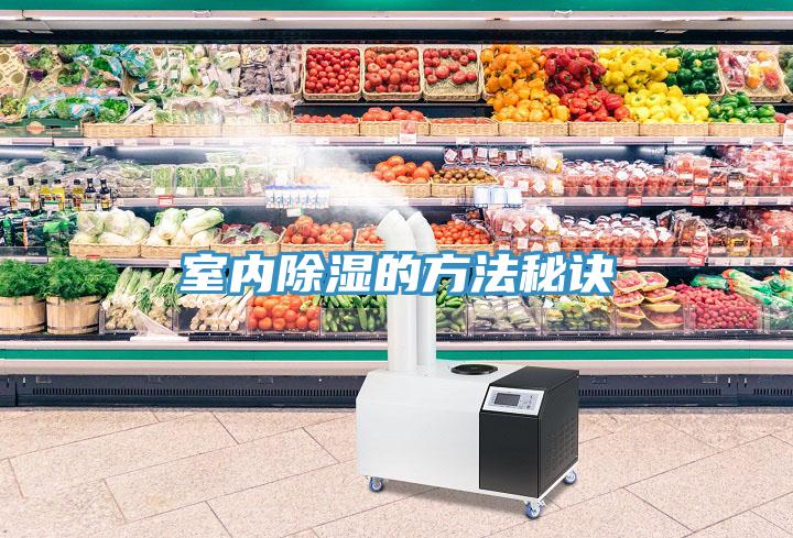 室內除濕的方法秘訣