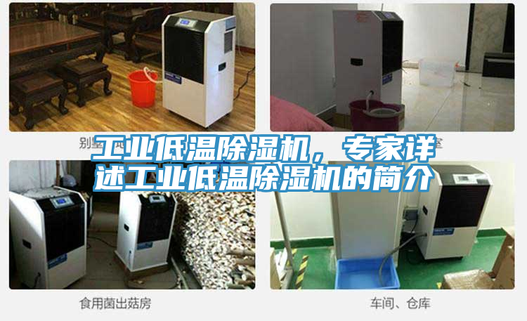 工業(yè)低溫除濕機，專(zhuān)家詳述工業(yè)低溫除濕機的簡(jiǎn)介