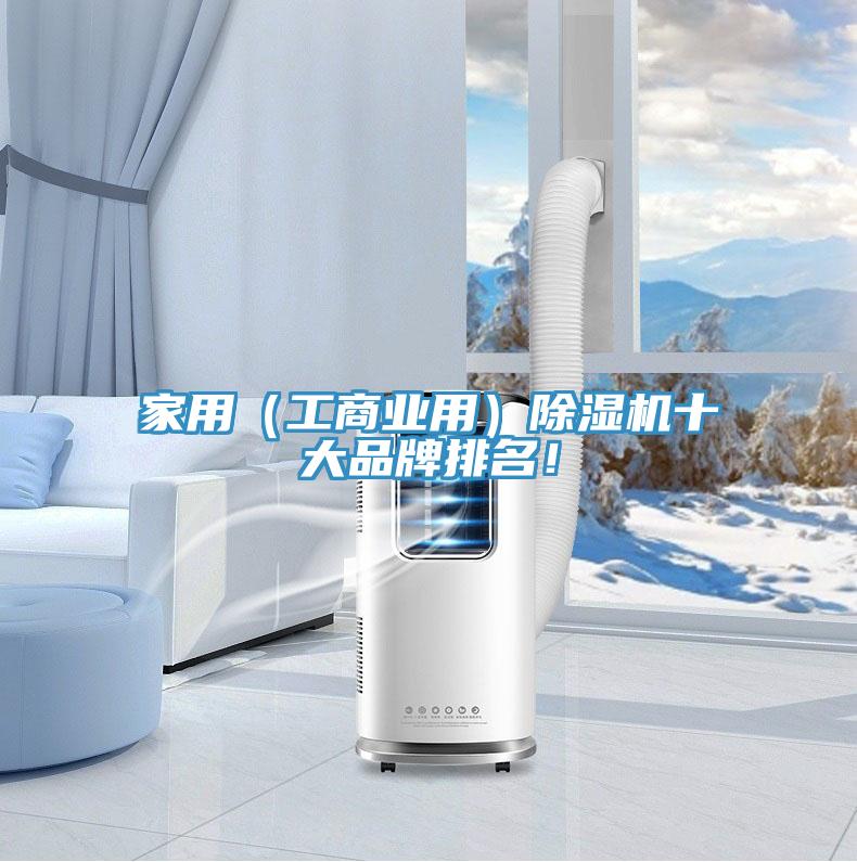 家用（工商業(yè)用）除濕機十大品牌排名！