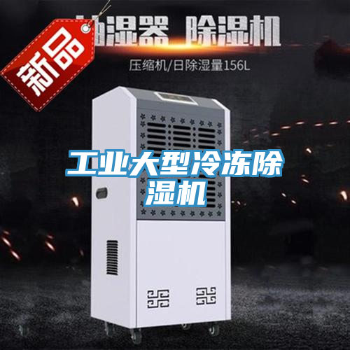 工業(yè)大型冷凍除濕機