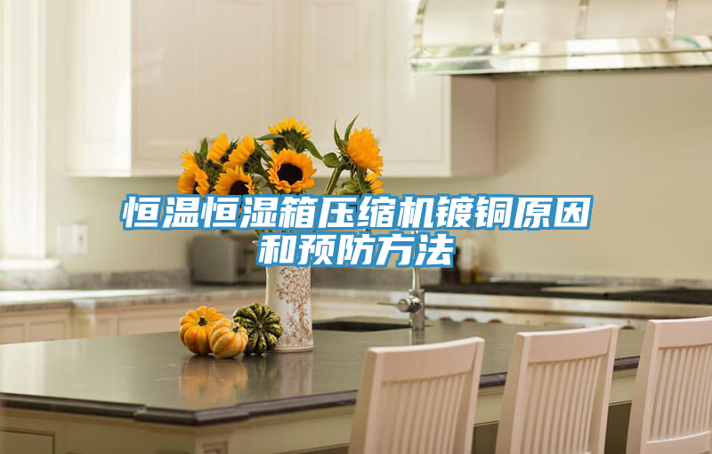 恒溫恒濕箱壓縮機鍍銅原因和預防方法