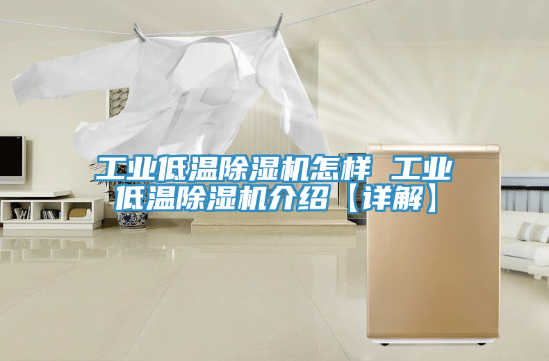 工業(yè)低溫除濕機怎樣 工業(yè)低溫除濕機介紹【詳解】