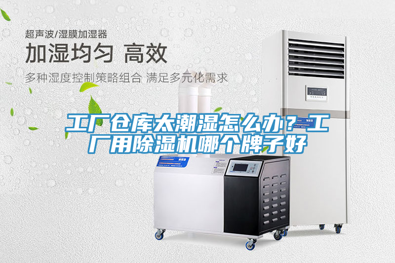 工廠(chǎng)倉庫太潮濕怎么辦？工廠(chǎng)用除濕機哪個(gè)牌子好