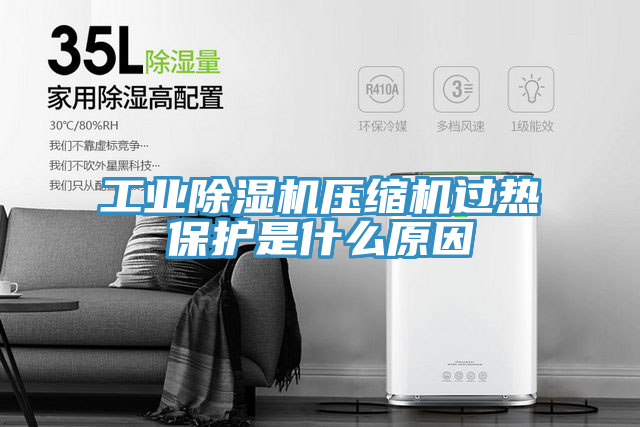 工業(yè)除濕機壓縮機過(guò)熱保護是什么原因