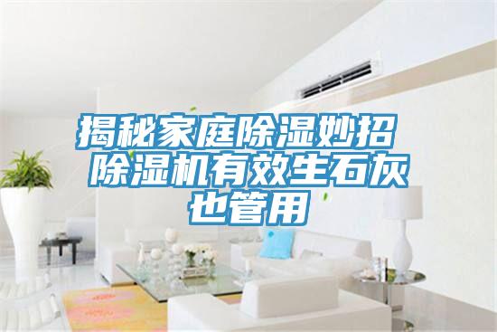 揭秘家庭除濕妙招 除濕機有效生石灰也管用