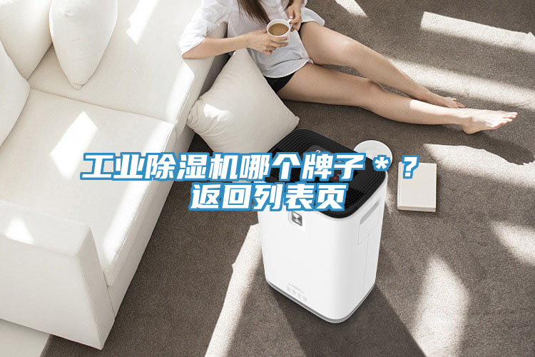 工業(yè)除濕機哪個(gè)牌子＊？ 返回列表頁(yè)
