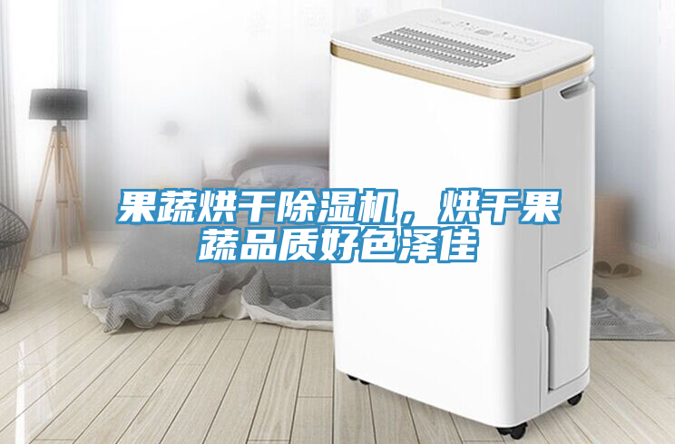 果蔬烘干除濕機，烘干果蔬品質(zhì)好色澤佳