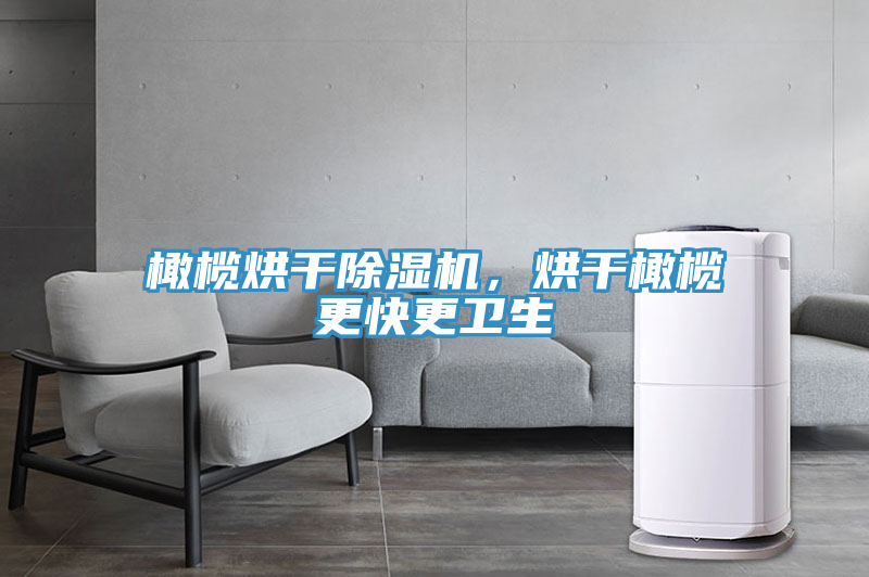 橄欖烘干除濕機，烘干橄欖更快更衛生