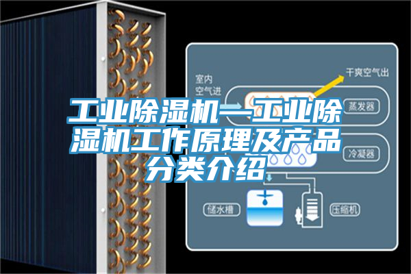 工業(yè)除濕機—工業(yè)除濕機工作原理及產(chǎn)品分類(lèi)介紹