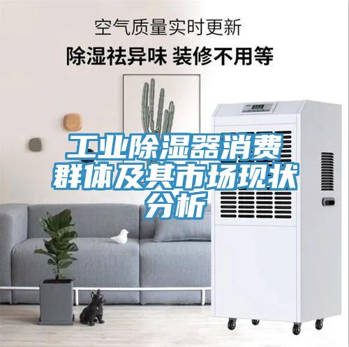 工業(yè)除濕器消費群體及其市場(chǎng)現狀分析