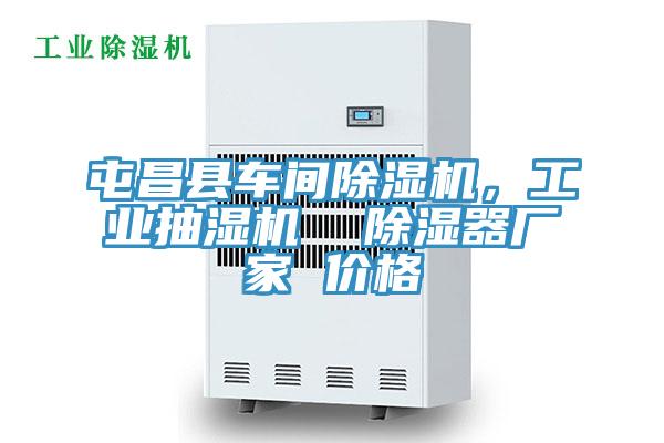 屯昌縣車(chē)間除濕機，工業(yè)抽濕機  除濕器廠(chǎng)家 價(jià)格