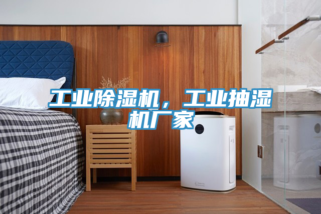 工業(yè)除濕機，工業(yè)抽濕機廠(chǎng)家