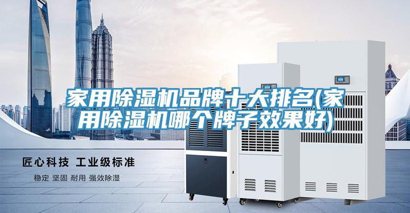 家用除濕機品牌十大排名(家用除濕機哪個(gè)牌子效果好)
