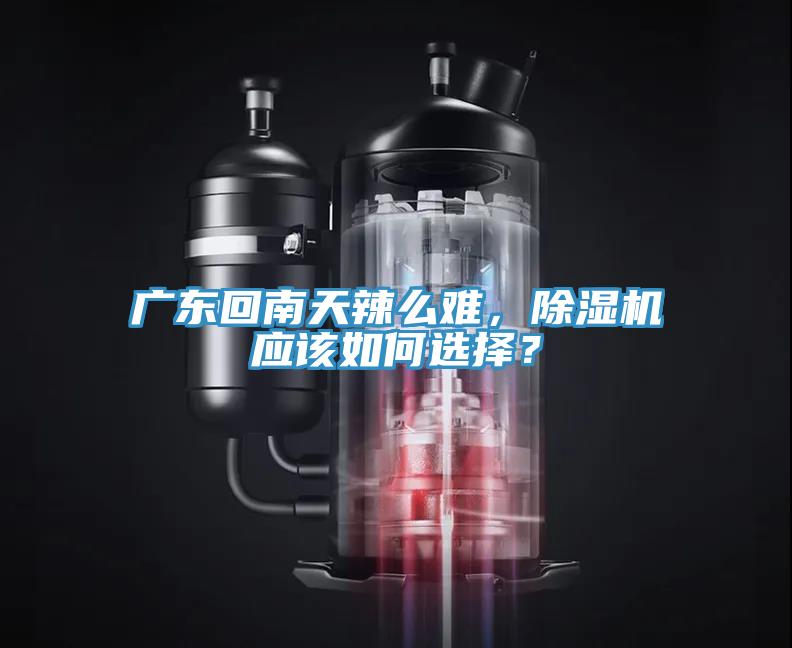 廣東回南天辣么難，除濕機應該如何選擇？