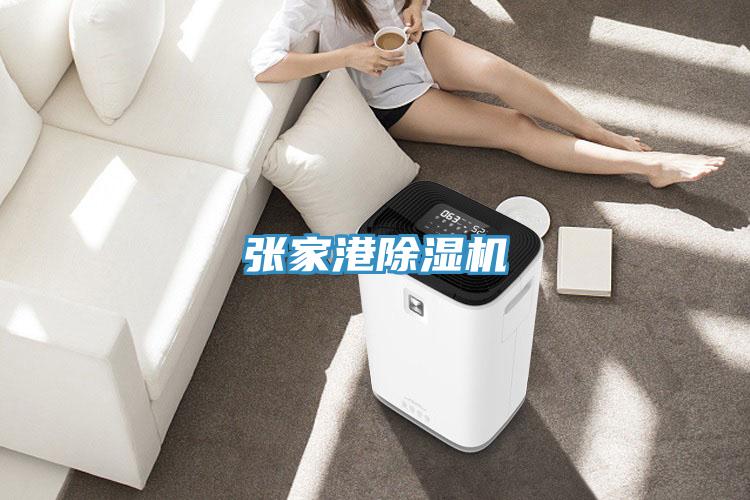 張家港除濕機