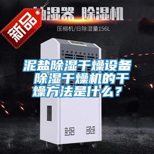 泥鹽除濕干燥設備 除濕干燥機的干燥方法是什么？