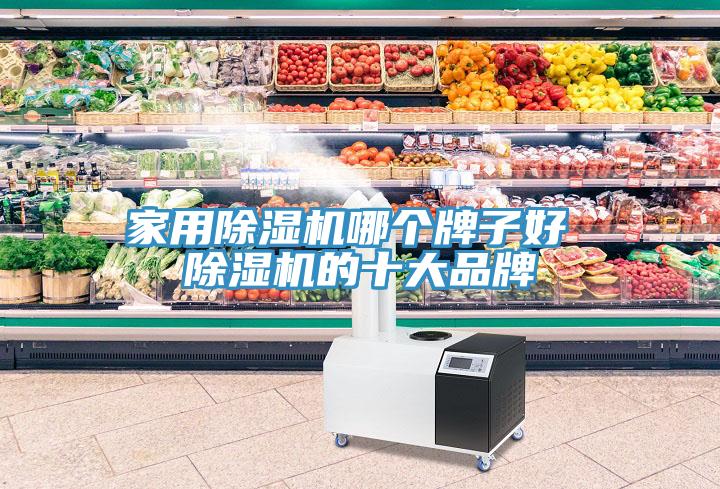 家用除濕機哪個(gè)牌子好 除濕機的十大品牌