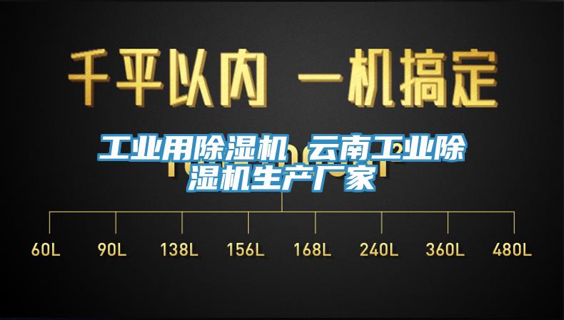 工業(yè)用除濕機 云南工業(yè)除濕機生產(chǎn)廠(chǎng)家