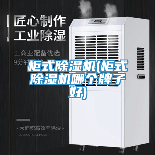柜式除濕機(柜式除濕機哪個(gè)牌子好)
