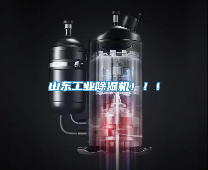 山東工業(yè)除濕機?。?！