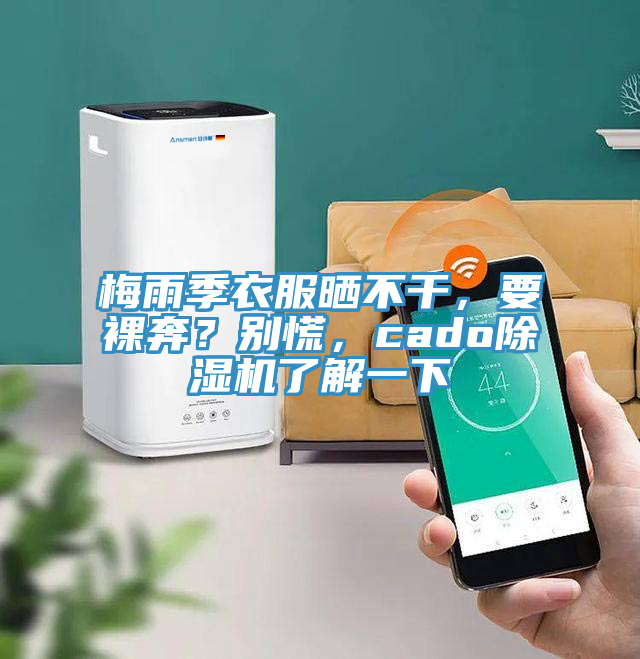 梅雨季衣服曬不干，要裸奔？別慌，cado除濕機了解一下