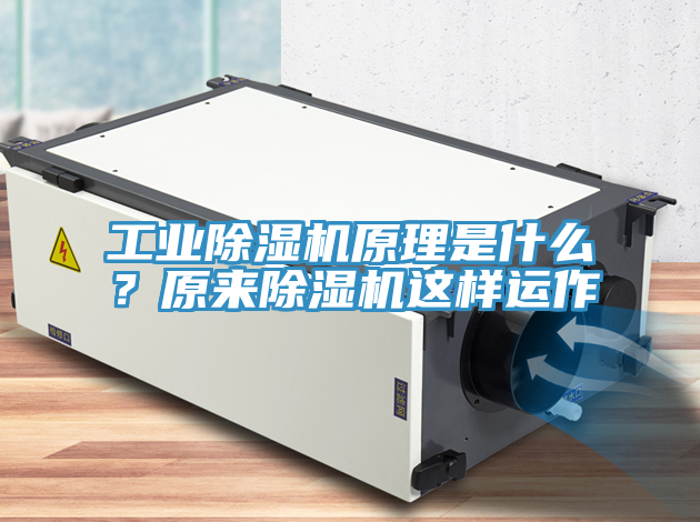 工業(yè)除濕機原理是什么？原來(lái)除濕機這樣運作