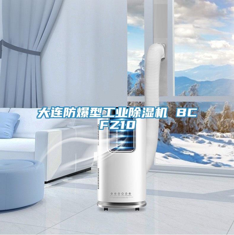 大連防爆型工業(yè)除濕機 BCFZ10