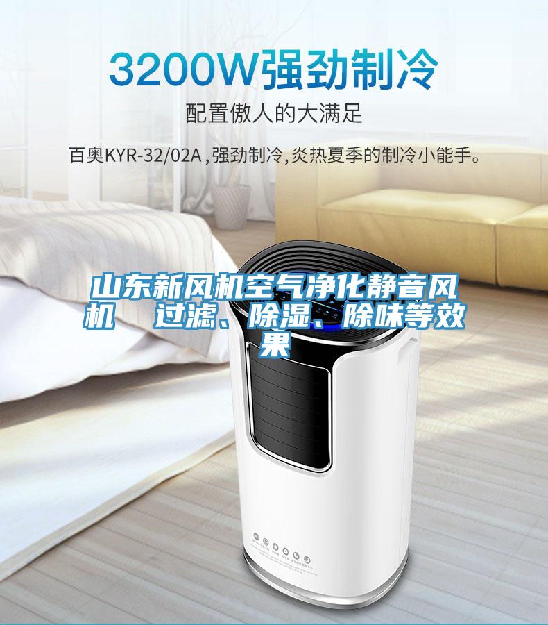 山東新風(fēng)機空氣凈化靜音風(fēng)機  過(guò)濾、除濕、除味等效果