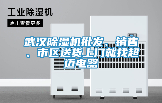 武漢除濕機批發(fā)、銷(xiāo)售、市區送貨上門(mén)就找超邁電器