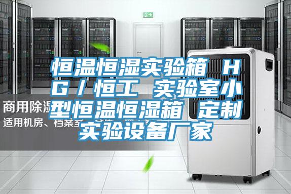 恒溫恒濕實(shí)驗箱 HG／恒工 實(shí)驗室小型恒溫恒濕箱 定制實(shí)驗設備廠(chǎng)家