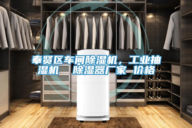 奉賢區車(chē)間除濕機，工業(yè)抽濕機  除濕器廠(chǎng)家 價(jià)格