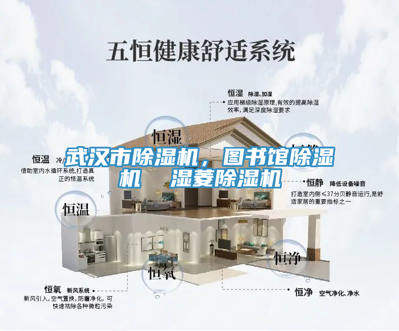 武漢市除濕機，圖書(shū)館除濕機  濕菱除濕機