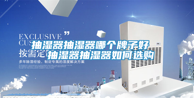 抽濕器抽濕器哪個(gè)牌子好   抽濕器抽濕器如何選購