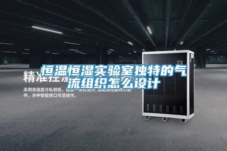 恒溫恒濕實(shí)驗室獨特的氣流組織怎么設計