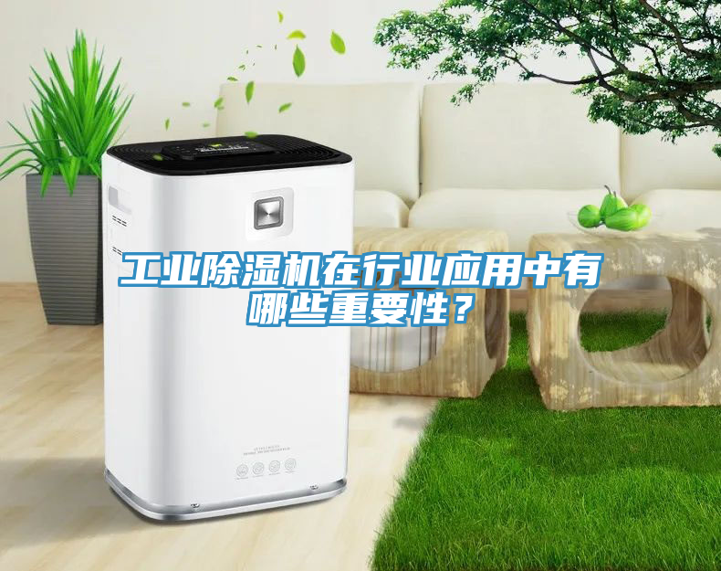 工業(yè)除濕機在行業(yè)應用中有哪些重要性？