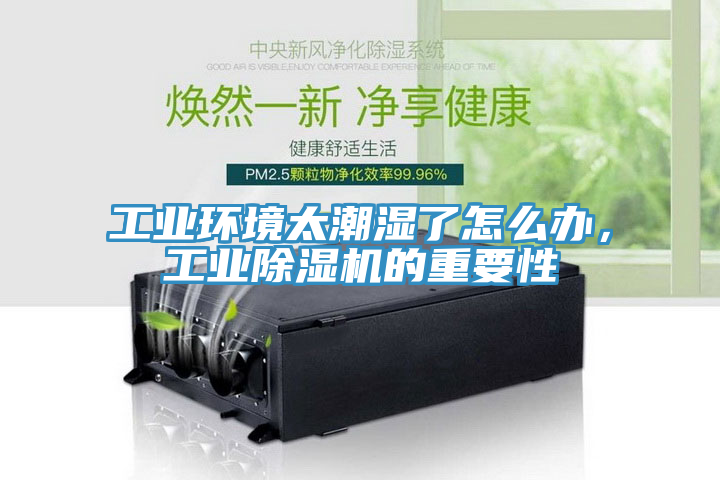 工業(yè)環(huán)境太潮濕了怎么辦，工業(yè)除濕機的重要性