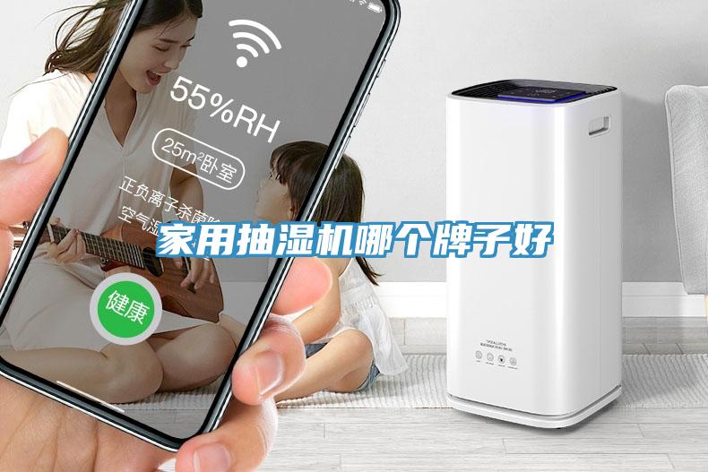 家用抽濕機哪個(gè)牌子好