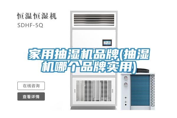 家用抽濕機品牌(抽濕機哪個(gè)品牌實(shí)用)