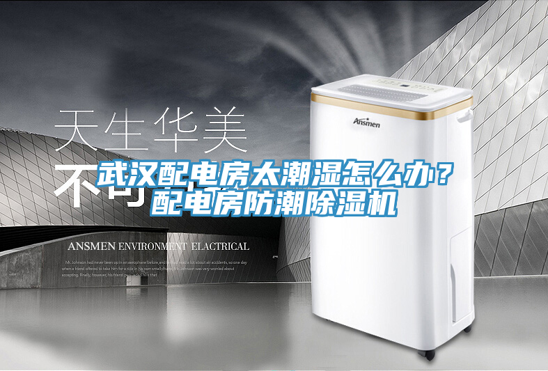 武漢配電房太潮濕怎么辦？配電房防潮除濕機