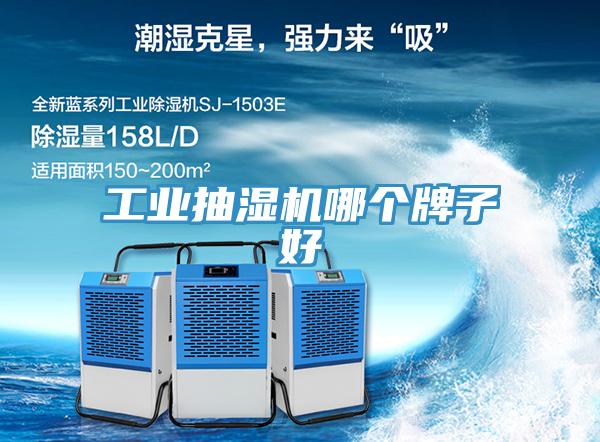 工業(yè)抽濕機哪個(gè)牌子好
