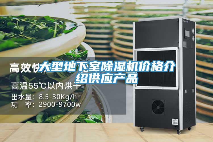 大型地下室除濕機價(jià)格介紹供應產(chǎn)品