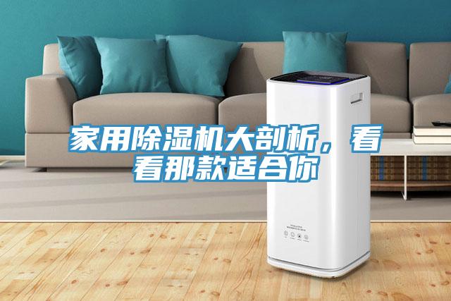 家用除濕機大剖析，看看那款適合你