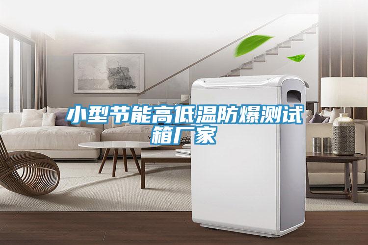 小型節能高低溫防爆測試箱廠(chǎng)家