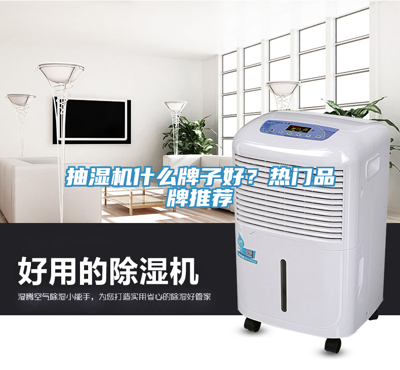 抽濕機什么牌子好？熱門(mén)品牌推薦