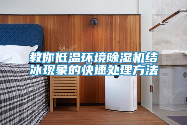 教你低溫環(huán)境除濕機結冰現象的快速處理方法