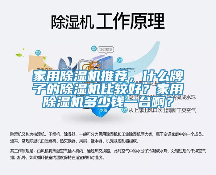 家用除濕機推薦，什么牌子的除濕機比較好？家用除濕機多少錢(qián)一臺??？