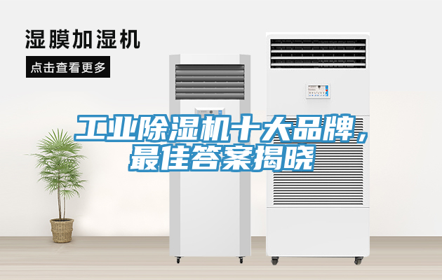 工業(yè)除濕機十大品牌，最佳答案揭曉